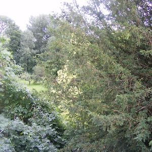 Les Lilas Des Deux Ponts